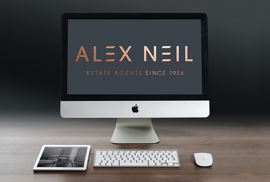 Alex Neil database of buyers and website promotion