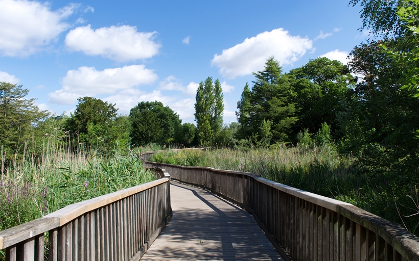 Beautiful Dulwich Park