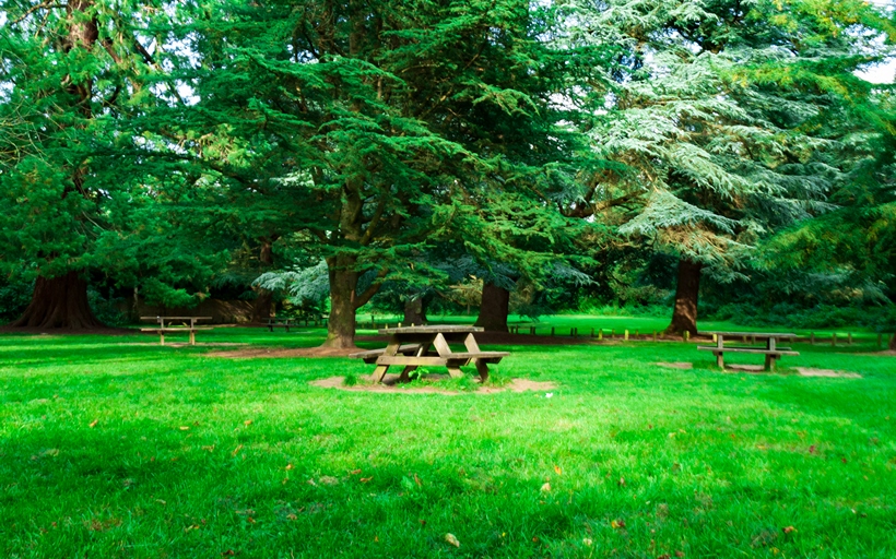 High Helms Country Park Farnborough BR6