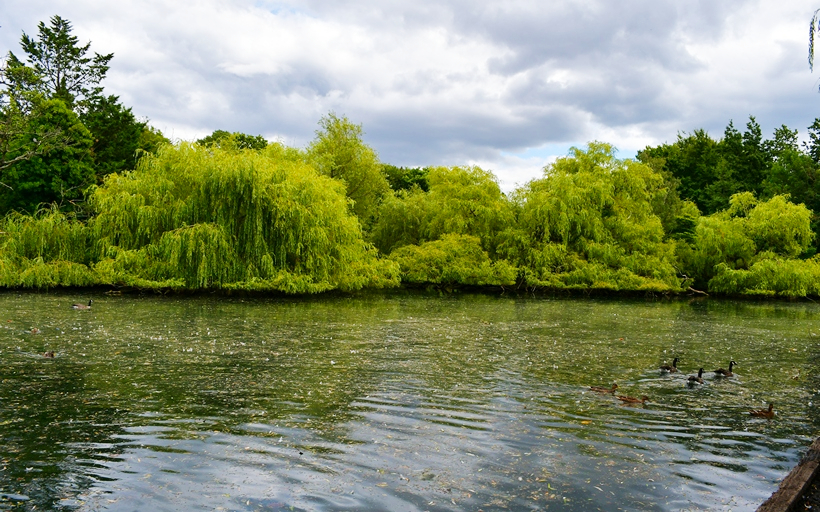 Beautiful green spaces and lakes in Orpington BR6