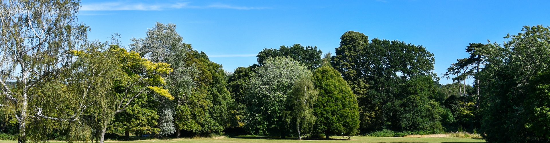 Estate Agents in Sidcup, DA14 Alex Neil