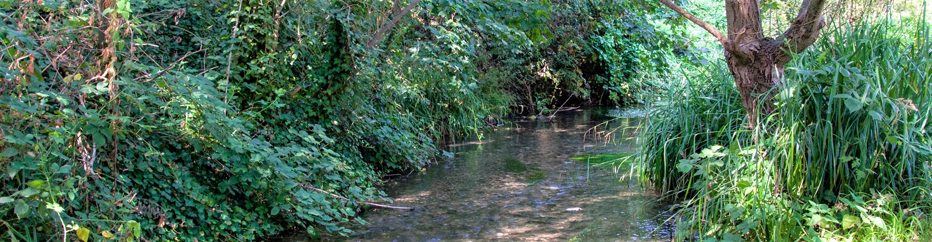 Estate Agents in St Mary Cray, BR5 Alex Neil