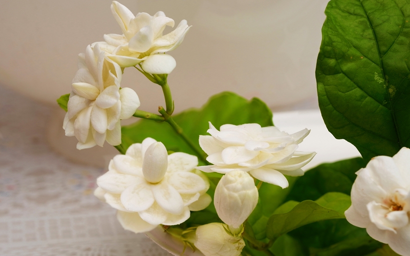 The scent of flowers enhance room ambience